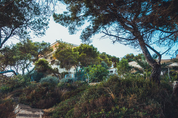 building at majorca framed by green trees and bushes