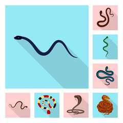 Isolated object of skin and reptile sign. Collection of skin and danger stock symbol for web.