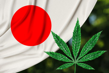 green leaf of hemp and beautiful silk national flag of japan, concept of medical cannabis,...