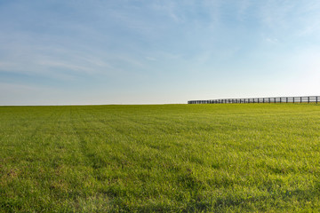 Wide Green Grassy Pasture and Fence - 290275029