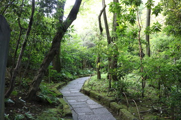 根津美術館　緑の庭園