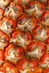 Fototapeta premium Peau d'ananas à motif en alvéoles en gros plan pris au macro pour un effet de texture pour un fond avec des nuances de couleurs vives allant du jaune au rouge en passant par l'orange