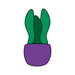 Isolated plant inside pot vector design
