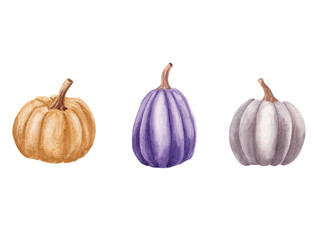 Hand drawn watercolor Halloween illustration. Set with ripe gold, purple, gray pumpkins.