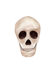 Hand drawn Watercolor human skull. Halloween illustration.