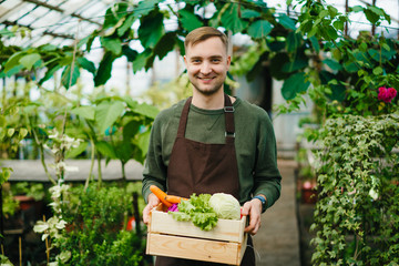 Attractive farmer man in apron standing in greenhouse holding wooden box of organic food looking at...