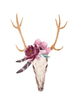 Hand drawn Watercolor deer skull with flower. Halloween boho style illustration.