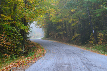 curve in the road in the autumn season