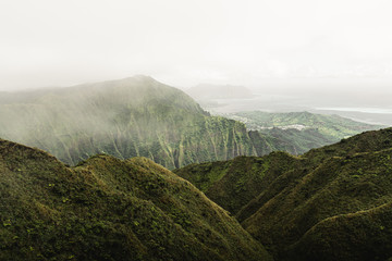 Moody vibes in the beautiful green mountains of the Moanalua Valley, Oahu, Hawaii. Taken on the Stairway to Heaven (Haiku Stairs) hike.