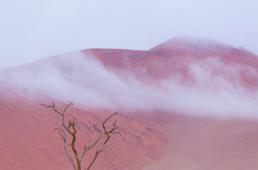 Sand Dunes, Namib Naukluft National Park, Namibia, Africa