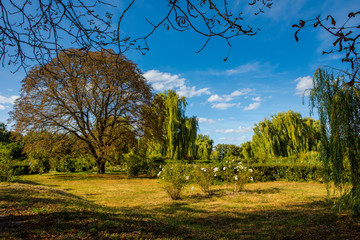 Obraz premium sunny aerial landscape with trees and rivine