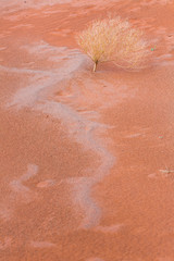 Sand Dunes, Namib Naukluft National Park, Namibia, Africa