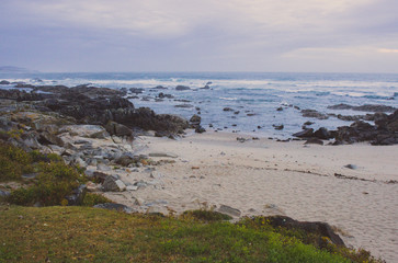 Ocean beach with stones and green grass. Rocky coastline. 
