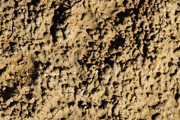 Terre aride