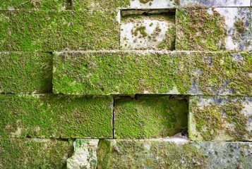 An ancient stonework wall with moss growing on its surface.