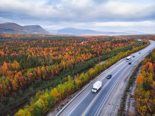 Forest autumn road with cars go sunset red, yellow trees russia, aerial view