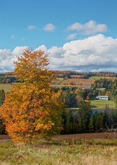 Colorful full foliage in rural Prince Edward Island, Canada.