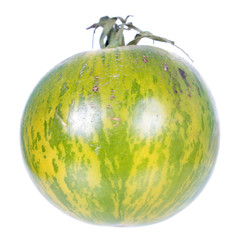 Green tomato with green stripes isolated on white background