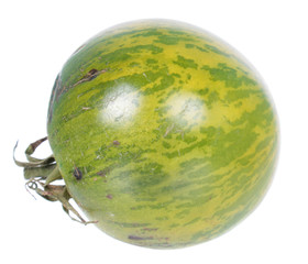 Green tomato with green stripes isolated on white background
