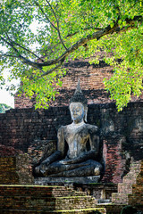 buddha statue under Bodhi tree in Sukhothai thailand