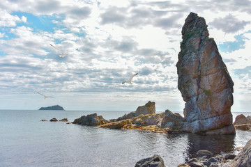 Sea landscape in silver morning with rock. On the horizon Chikhachev island, Primorsky Krai, Russia