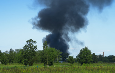 Warehouse ignition. Big fire in the forest.