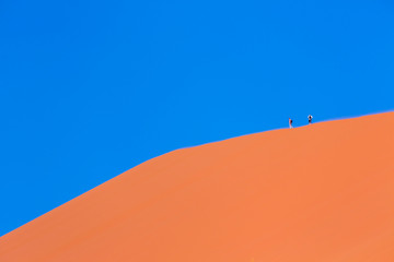 Sand Dunes, Namib Naukluft National Park, Namibia, Africa