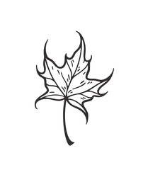 Falling leaves vector illustration. Decorative graphic black outline autumn leaves collecton isolated on white background. Hand drawn organic lines