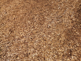 Rindenmulch nach Forstarbeiten am Waldrand im Sommer bei Sonnenschein am Segelflugplatz in...