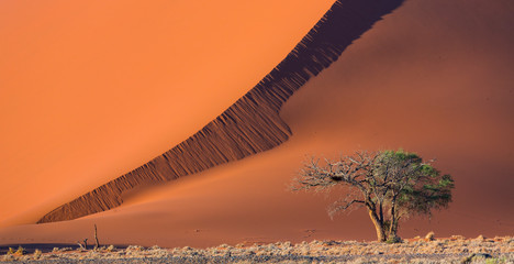 Sand Dunes, Namib Naukluft National Park, Namibia, Africa
