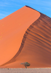 Sand Dunes, Namib Naukluft National Park, Namibia, Africa