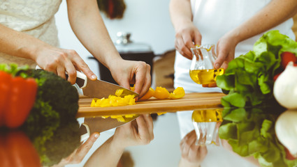 Closeup of human hands cooking in kitchen. Mother and daughter or two female friends cutting vegetables for fresh salad. Friendship, family dinner and lifestyle concepts