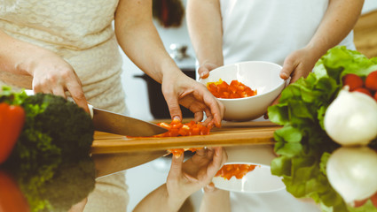 Closeup of human hands cooking in kitchen. Mother and daughter or two female friends cutting vegetables for fresh salad. Friendship, family dinner and lifestyle concepts