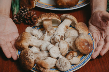 Ceps lie on round plate. View from above