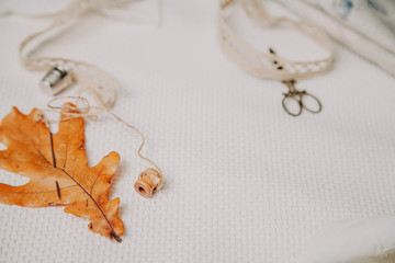 Yellow leaf of oak and needle lie on white cloth