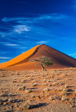 Sand Dunes, Namib Naukluft National Park, Namibia, Africa