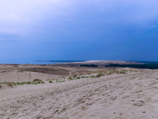 view of sand dune, poor plants, dark blue sky before rain