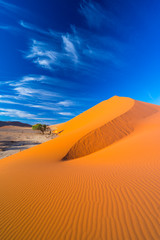 Sand Dunes, Namib Naukluft National Park, Namibia, Africa