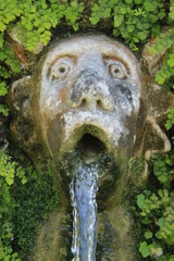 Fototapeta na wymiar Volto primo piano statua con acqua di fontana e prato verde
