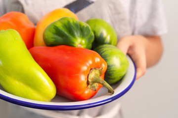 red pepper in  hands close-up