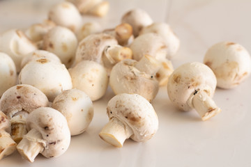 fresh champignons close-up on a white background