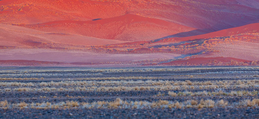 Namib Naukluft National Park, Namibia, Africa