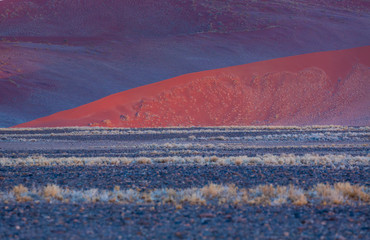 Namib Naukluft National Park, Namibia, Africa