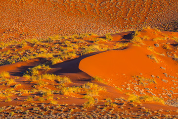 Sand Dunes, Namib Naukluft National Park, Namibia, Africa