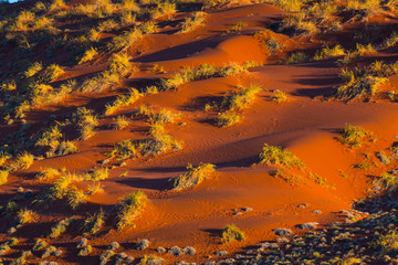 Sand Dunes, Namib Naukluft National Park, Namibia, Africa