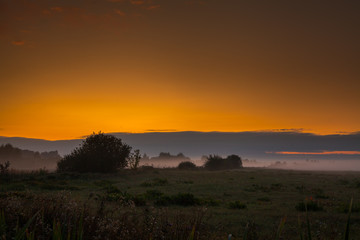 Evening fog spreads beautifully on the ground