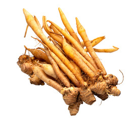  Fresh yellow krachai used for cooking. The scientific name is Boesenbergia rotunda.