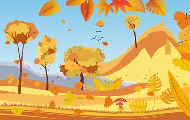 landscapes of Countryside in autumn. mid autumn with field, grass, blue sky,  and leaves falling from trees in yellow foliage. Pretty landscape in fall season.