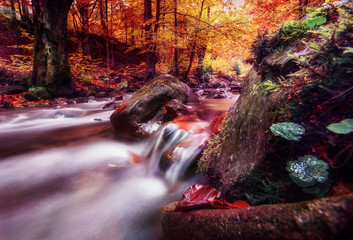Fast river among the stones in the autumnal colorful forest.