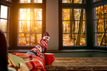 Slim young woman legs and autumn window background 